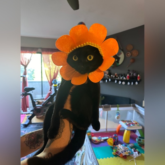 Meet your Posher, Karina - Picture 8 of 14